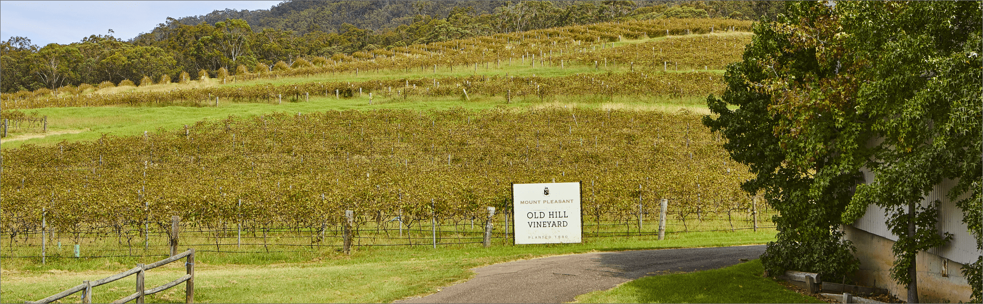 Wineries Wineries