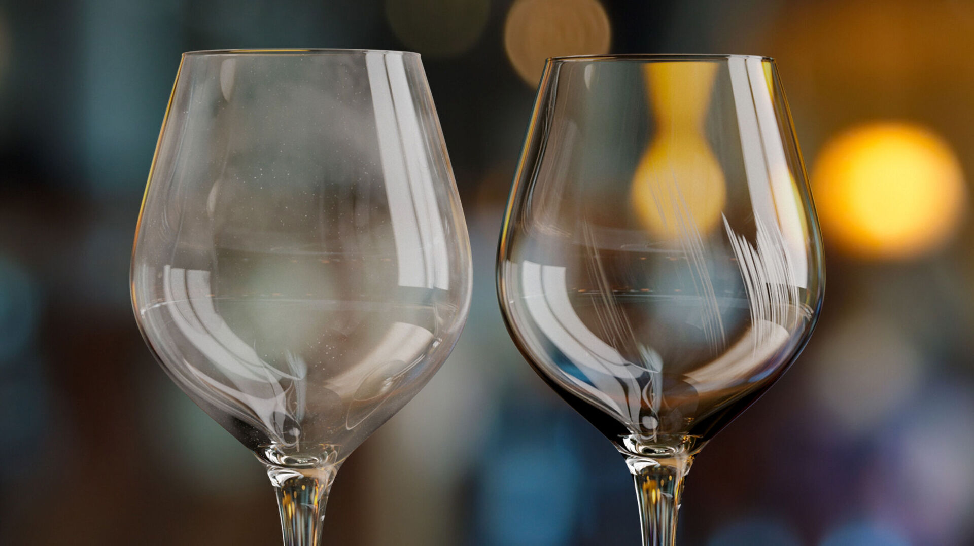 deux verres à vin Winterhalter lave verre professionnel deux verres à vin Winterhalter lave verre professionnel